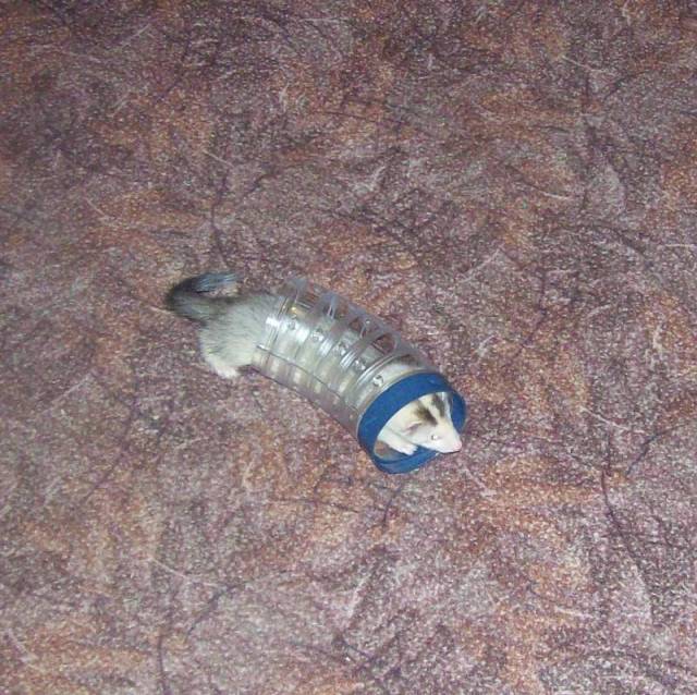 000_0003.JPG